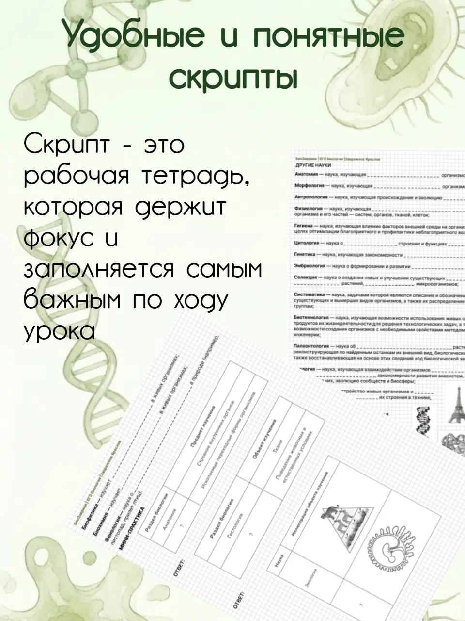 Репетитор ЕГЭ по биологии | Студент БИ ТГУ - миниатюра 6