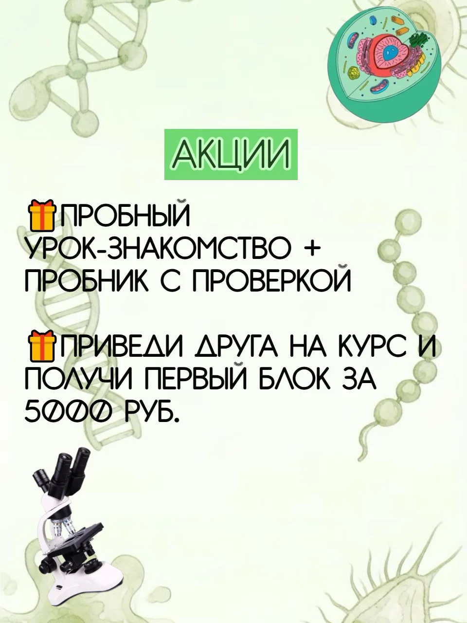 Репетитор ЕГЭ по биологии | Студент БИ ТГУ - миниатюра 7