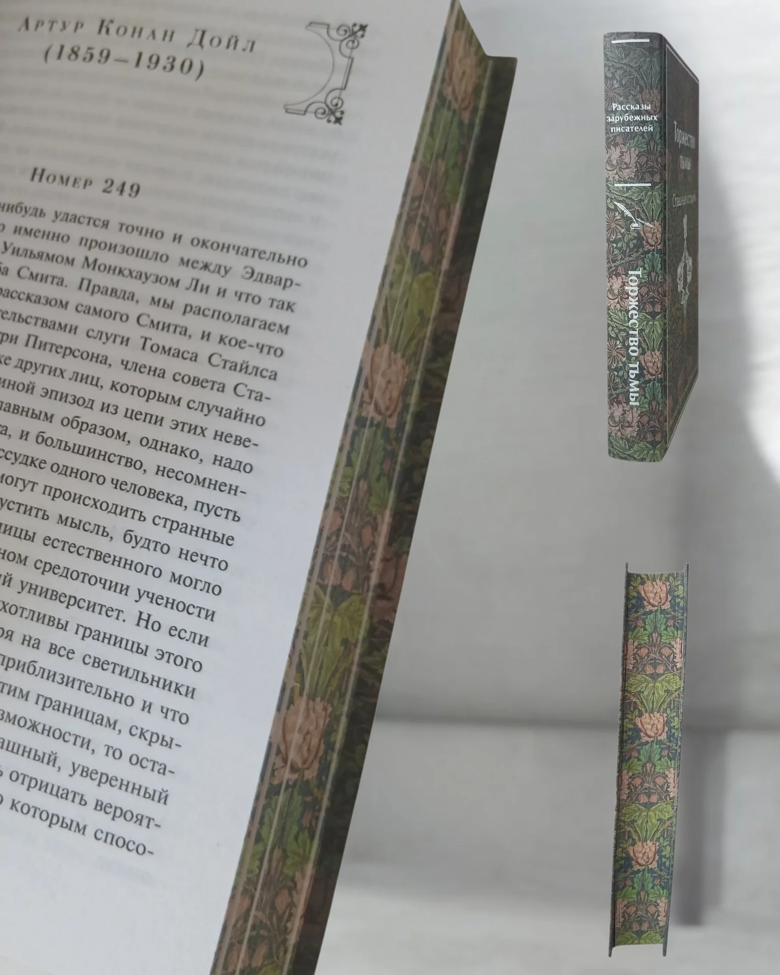 «Торжество тьмы», рассказы зарубежных писателей - миниатюра 2
