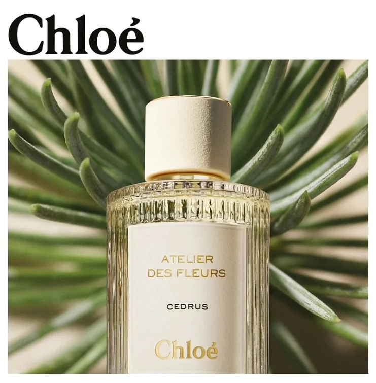 Chloe - Atelier Des Fleurs Cedrus 150 ml - миниатюра 3