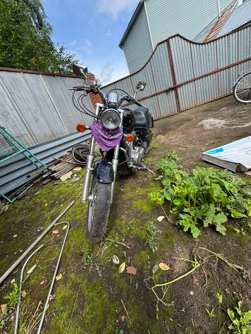 honda steed 600 - изображение 1