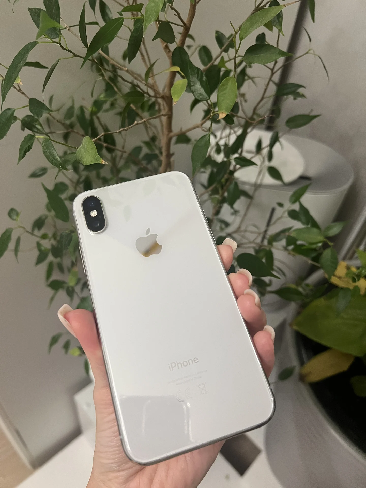 Iphone X (64 г) - миниатюра 2