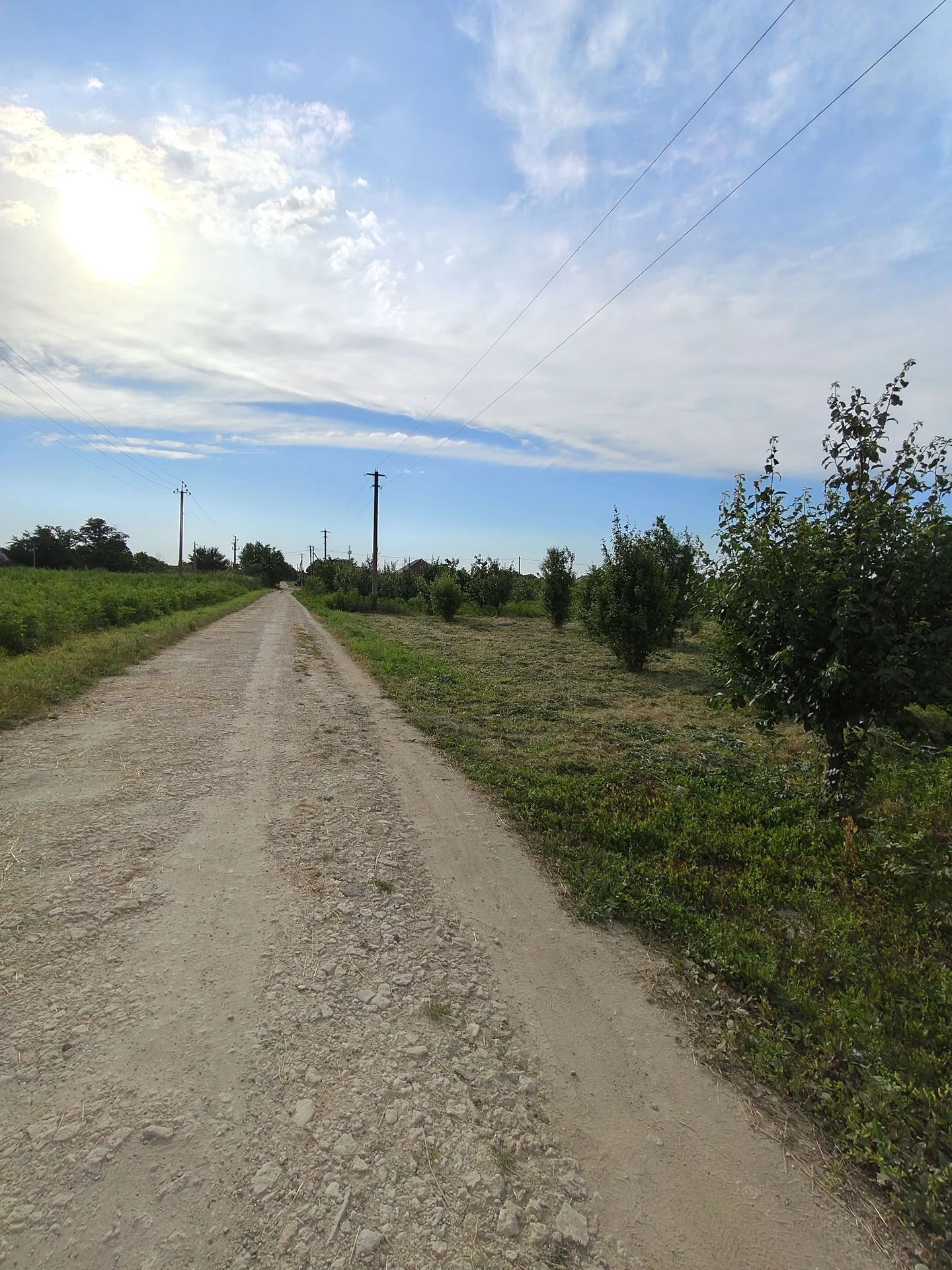 Продаю участок цена 470 000 т.р. Собственник. - миниатюра 6