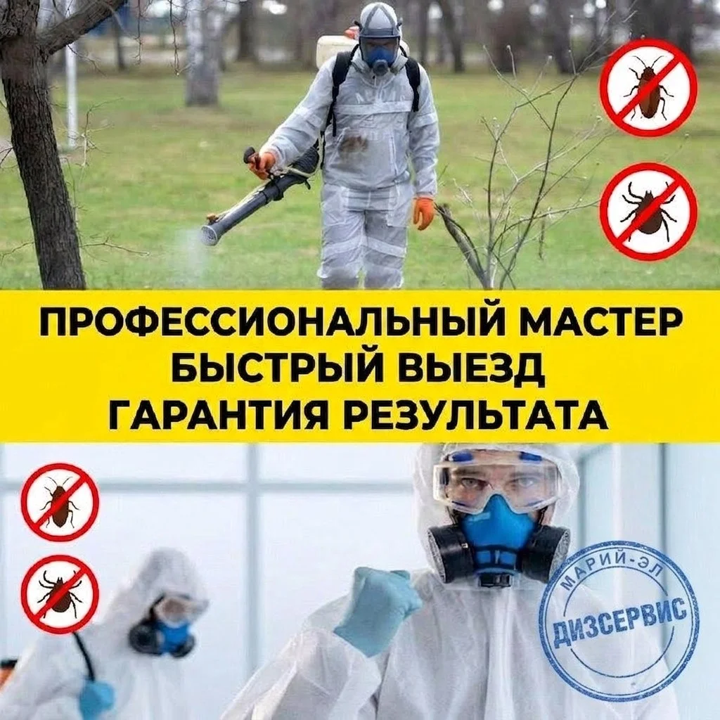 Уничтожение клещей тараканов клопов борщевика и пр - миниатюра 5