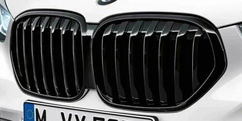 Передняя декоративная решетка 51138080619 BMW ориг - миниатюра 2