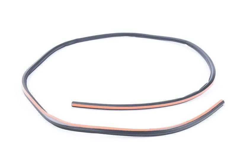 Уплотнение стеклянной крышки зд 54107304488 BMW - миниатюра 3