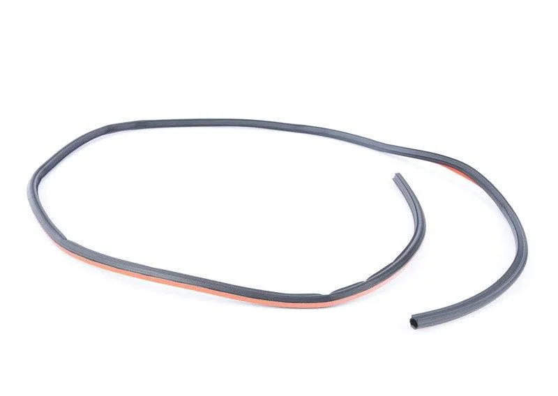 Уплотнение стеклянной крышки зд 54107304488 BMW - миниатюра 4