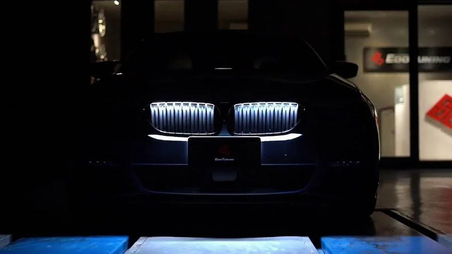 Электроника легендарное сияние 63172474991 BMW - изображение 1