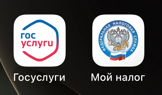 самозанятость мой налог 8 мрот - изображение 1