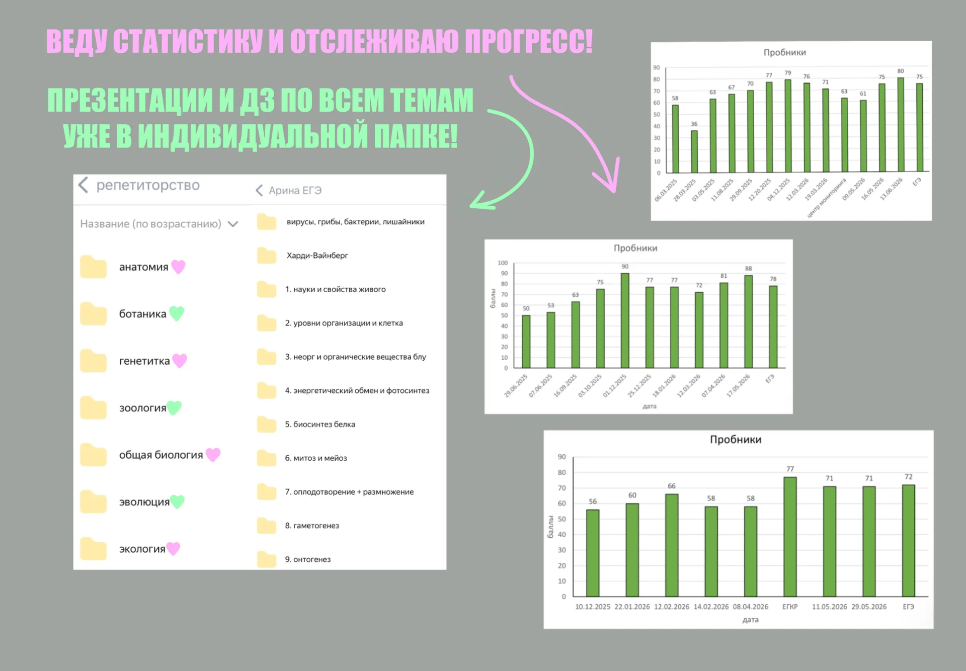 Репетитор по биологии ОГЭ ЕГЭ вступительные - миниатюра 3