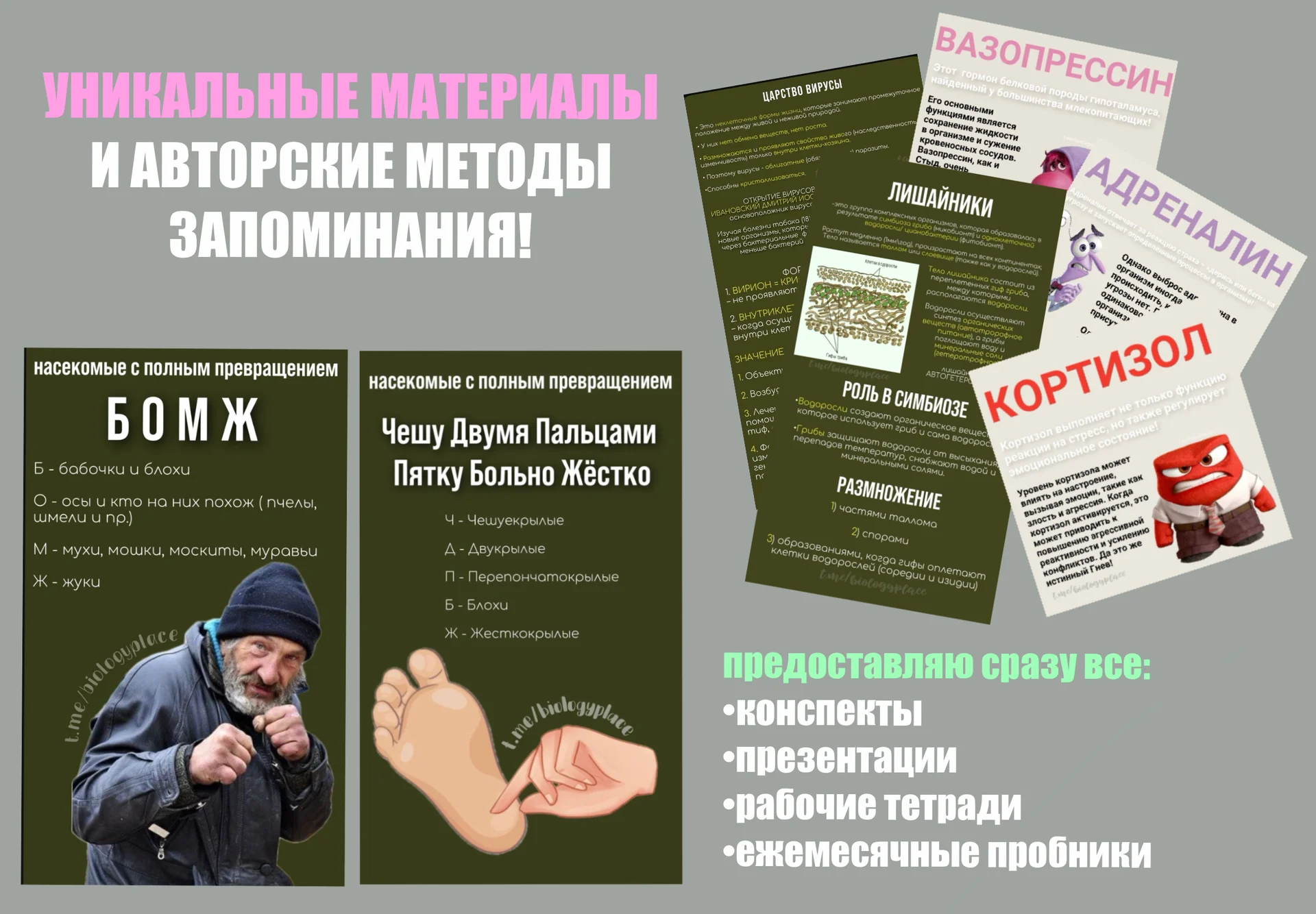 Репетитор по биологии ОГЭ ЕГЭ вступительные - миниатюра 4