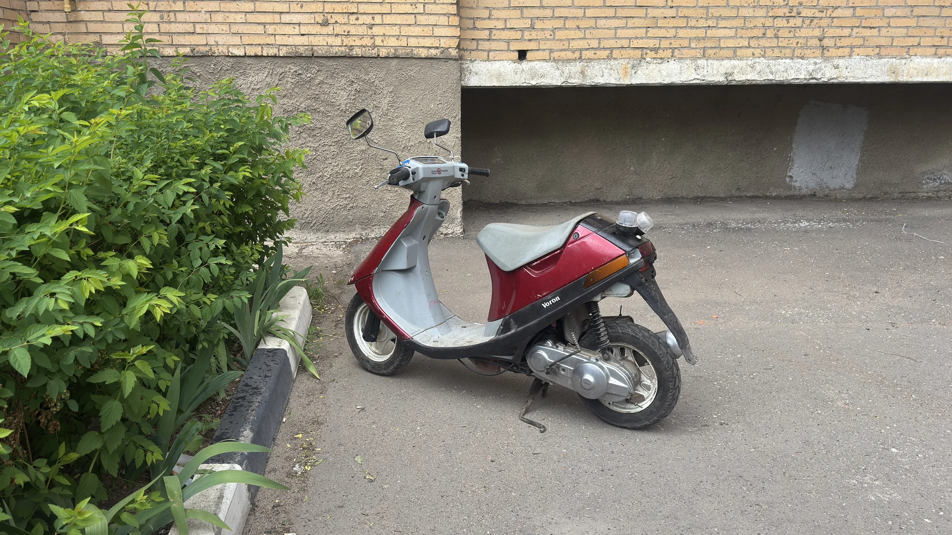 Suzuki Sepia - миниатюра 3