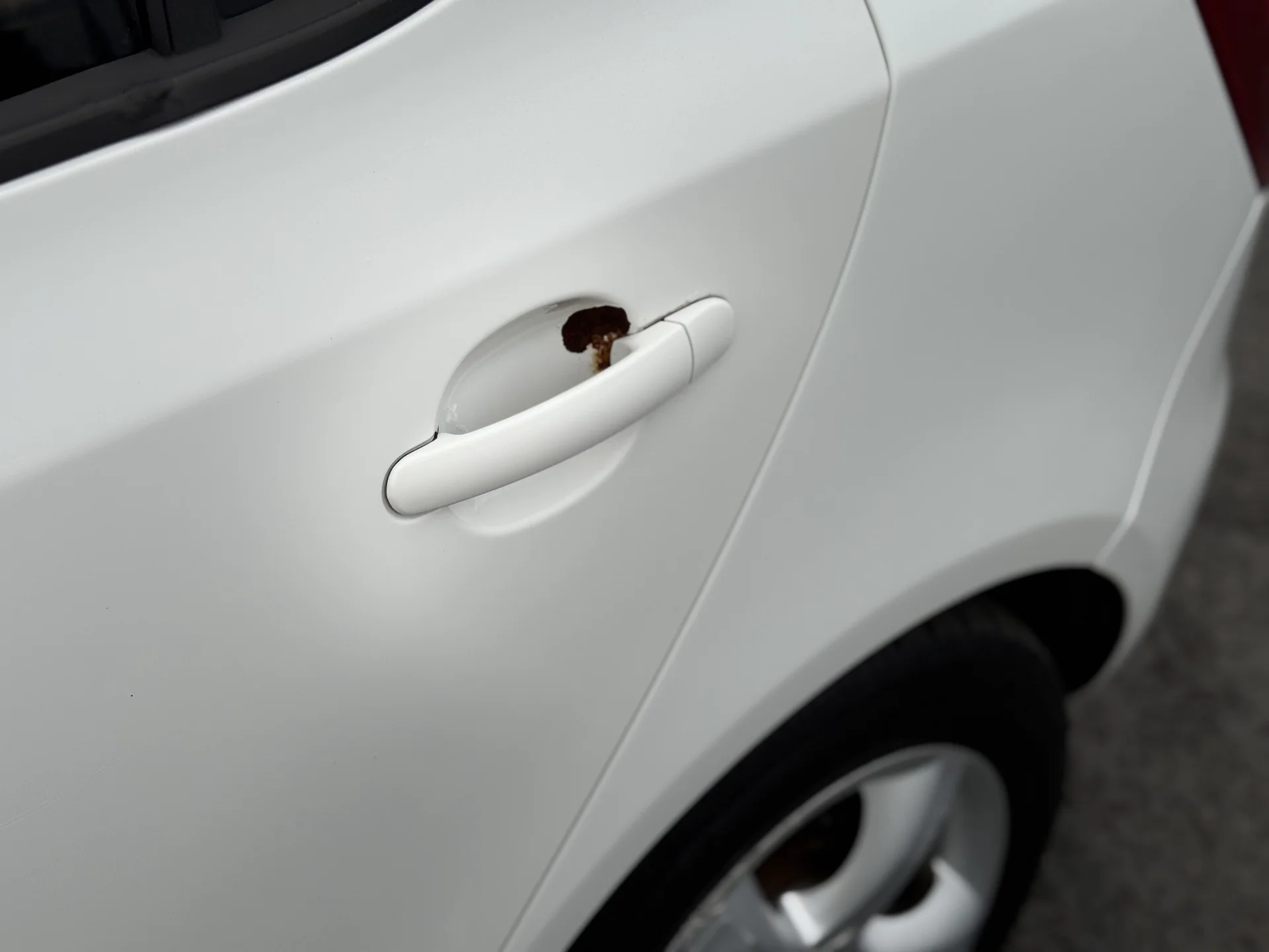 Skoda Fabia - миниатюра 42