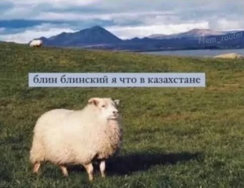Документы (дубликаты) с ЗАГС из стран СНГ - изображение 1