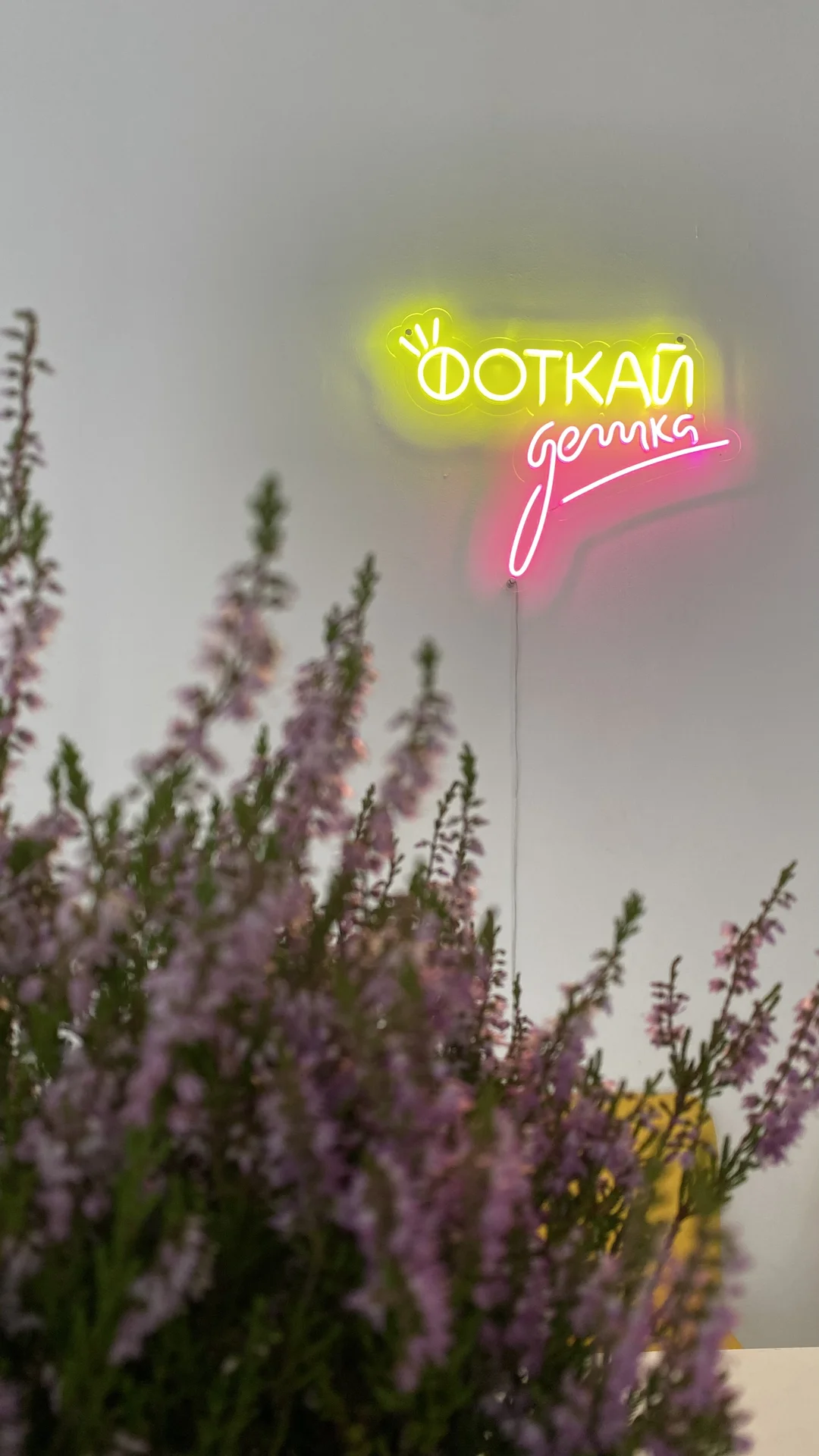 Фотостудия автопортрета Фоткай!Детка - миниатюра 4