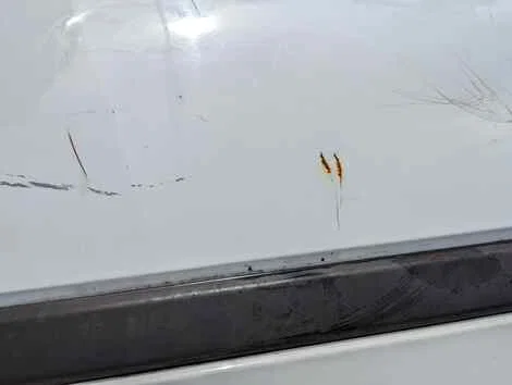 Дверь Honda Domani MA7 D15B Лев. Задн. - миниатюра 3