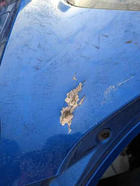Крыло Suzuki SX4 YB22S M16A Лев. Задн. - миниатюра 4
