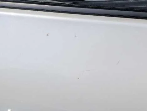 Дверь Toyota Prius ZVW50 2ZR-FXE Прав. Перед. - миниатюра 5