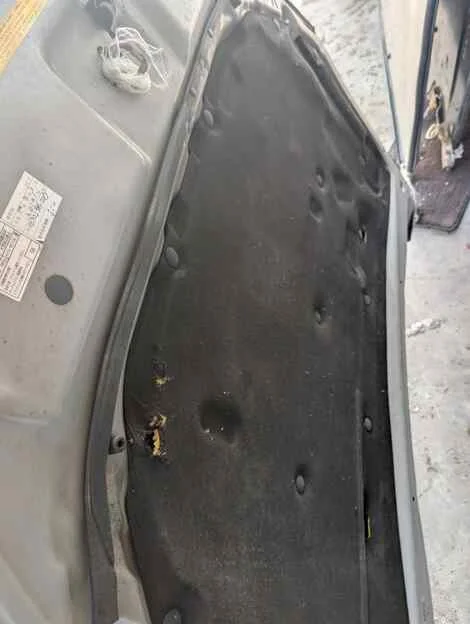 Капот Toyota Windom MCV30 1MZ-FE - миниатюра 5