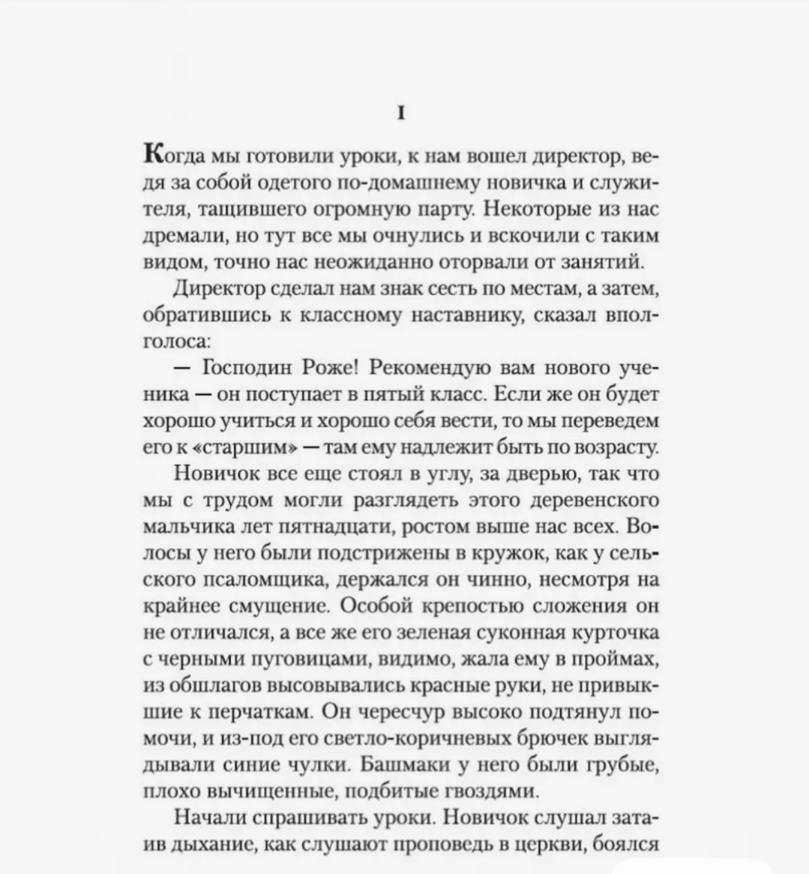 Госпожа бовари - миниатюра 5