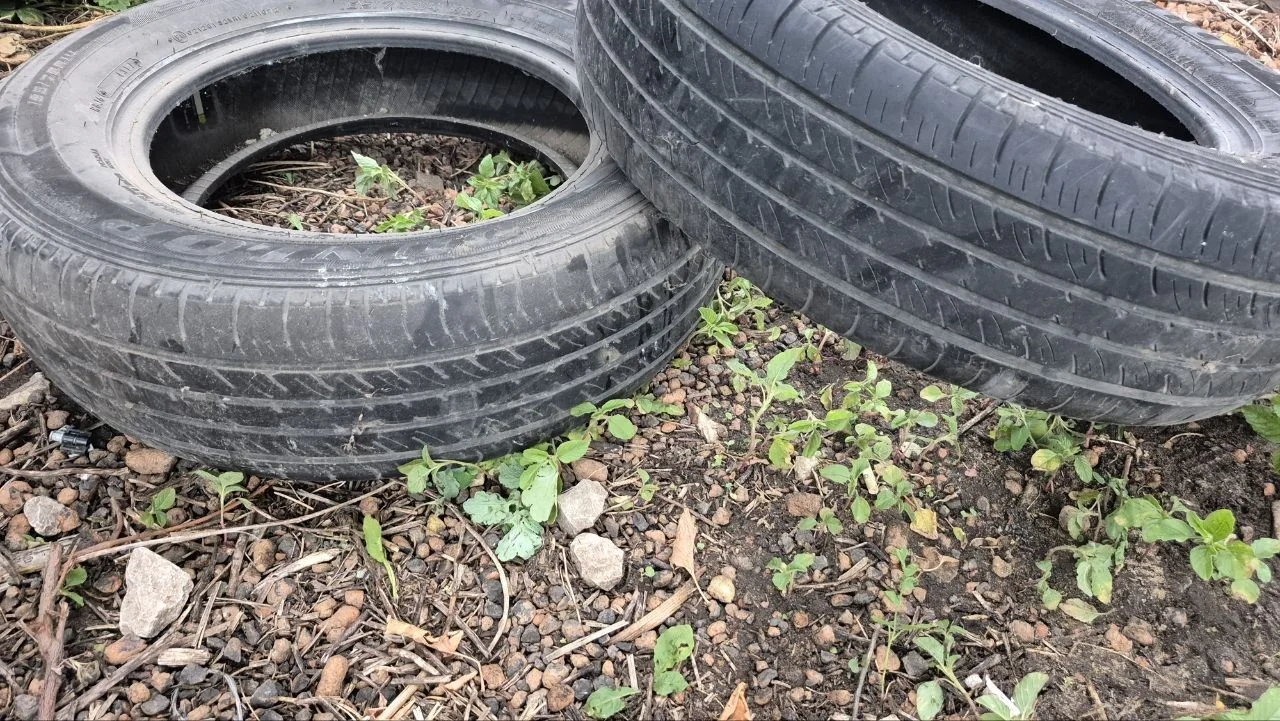 Dunlop SP Touring T1 185/70 R14 - изображение 1