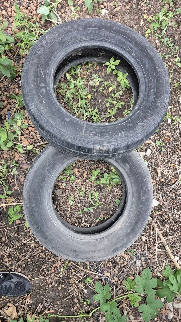 Dunlop SP Touring T1 185/70 R14 - миниатюра 3