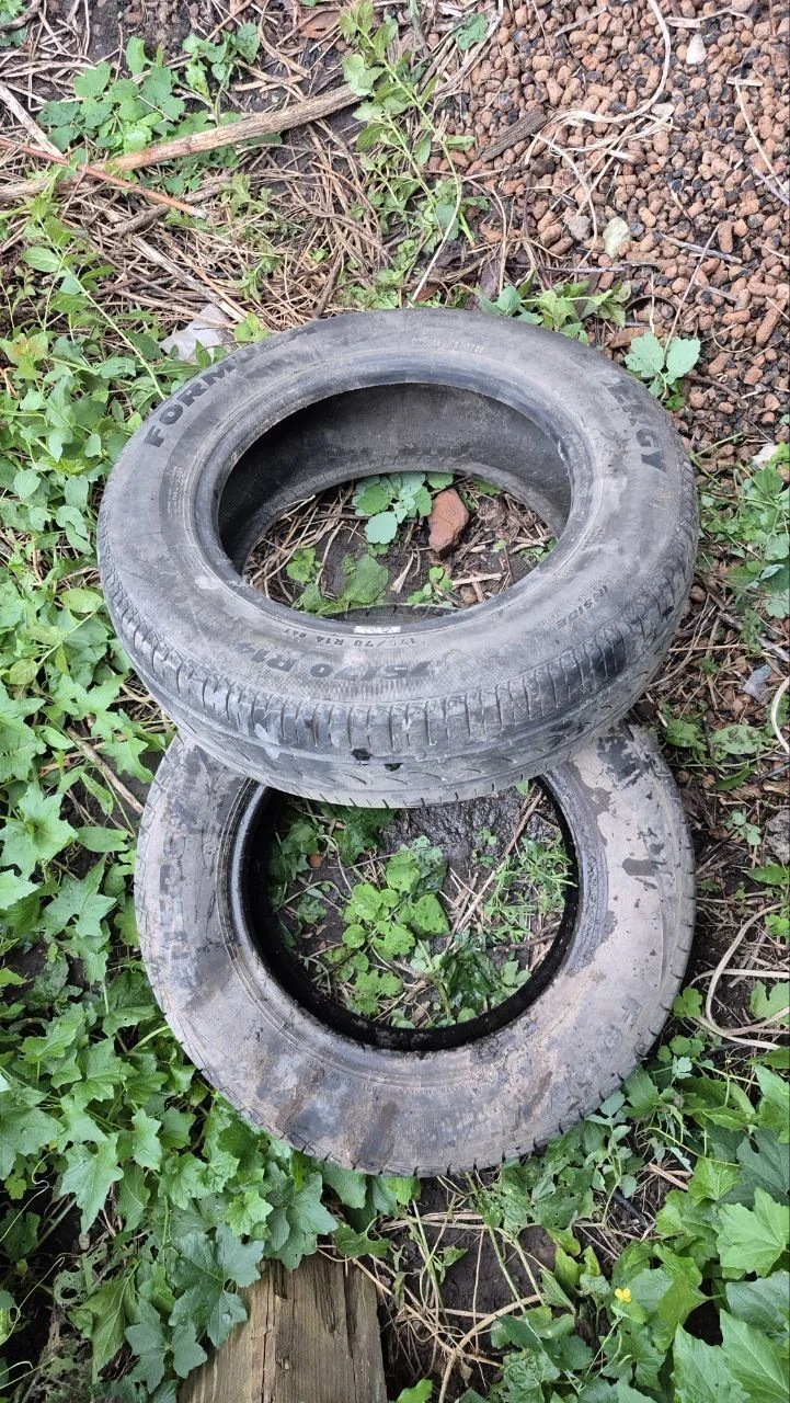Formula Energy 175/70 R14 - изображение 1