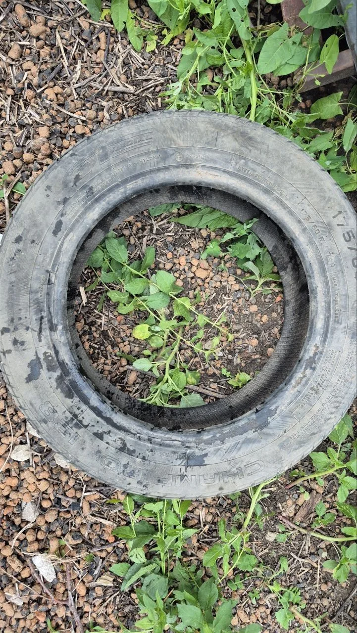 GT Radial Champiro 128 175/60 R14 79H - миниатюра 2