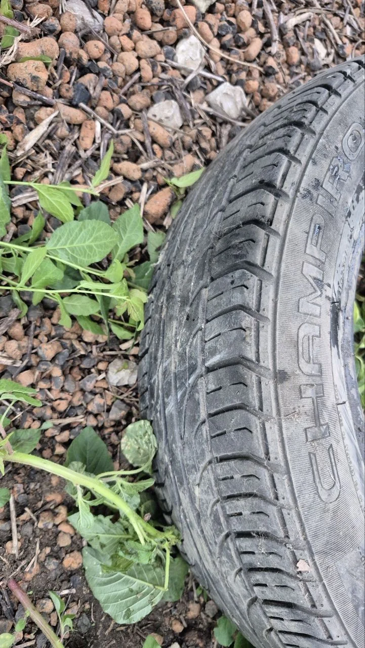 GT Radial Champiro 128 175/60 R14 79H - миниатюра 3