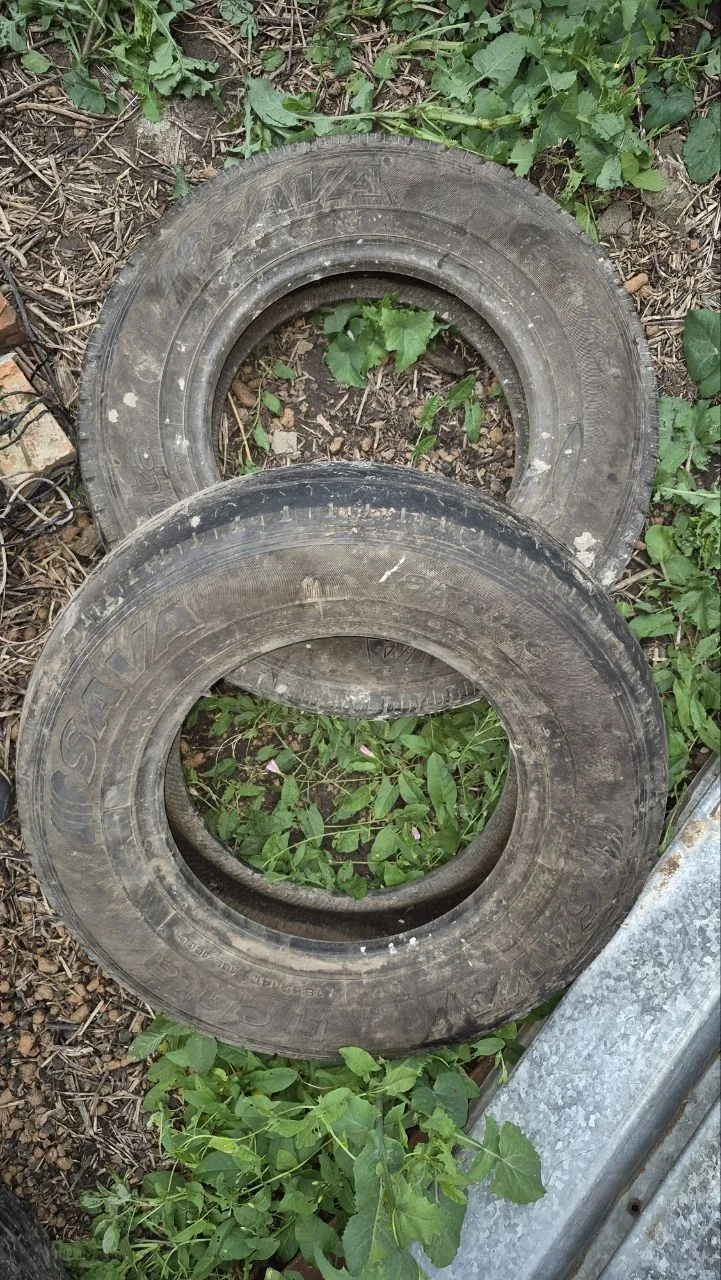 Sava Trenta 185/70 R14c - изображение 1