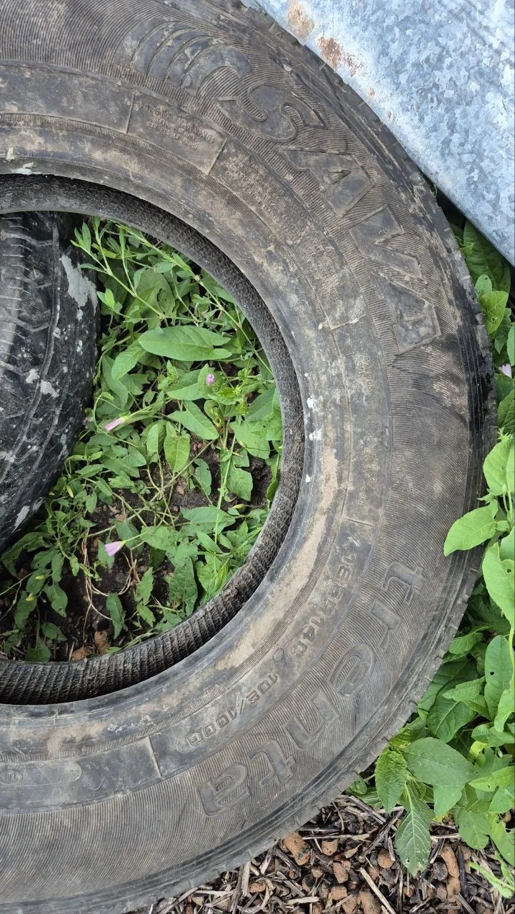 Sava Trenta 185/70 R14c - миниатюра 4