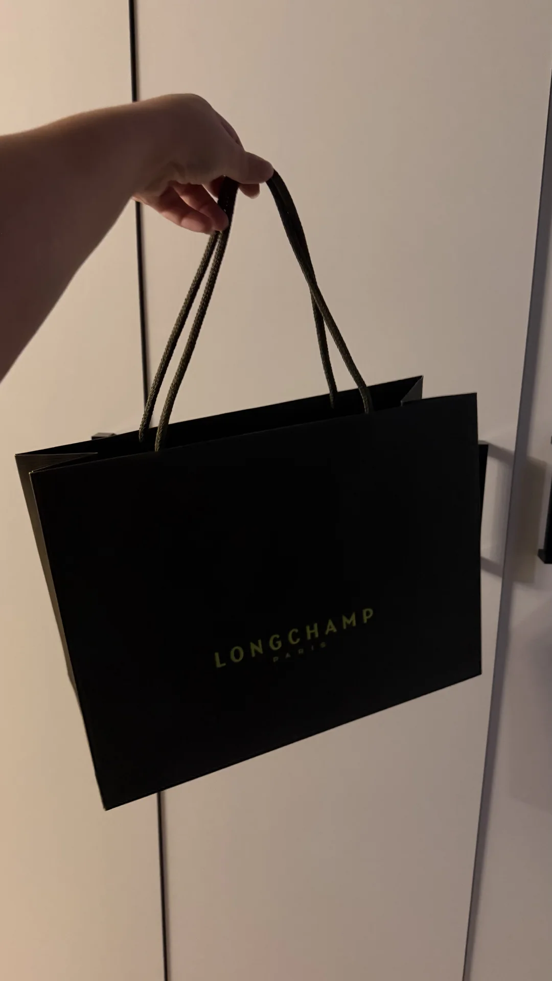 longchamp - миниатюра 2