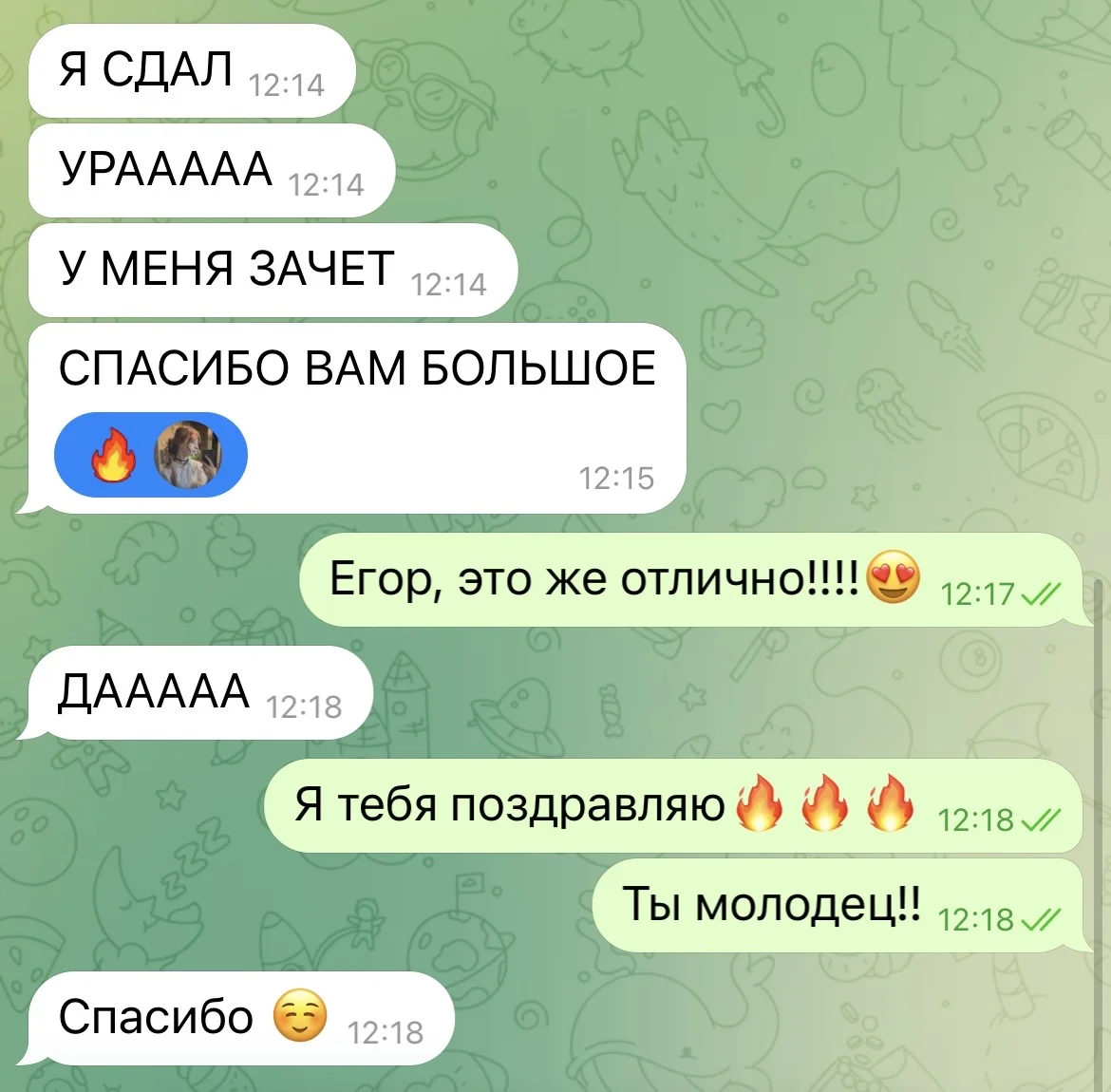 Репетитор по русскому ЕГЭ - миниатюра 6