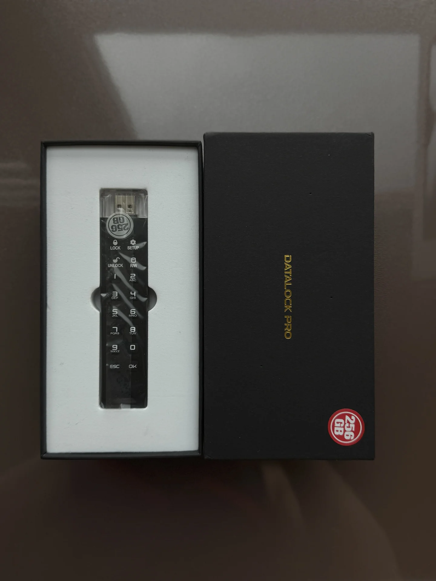 Флешка с пин-кодом DataLock PRO4 256Gb USB 3.1