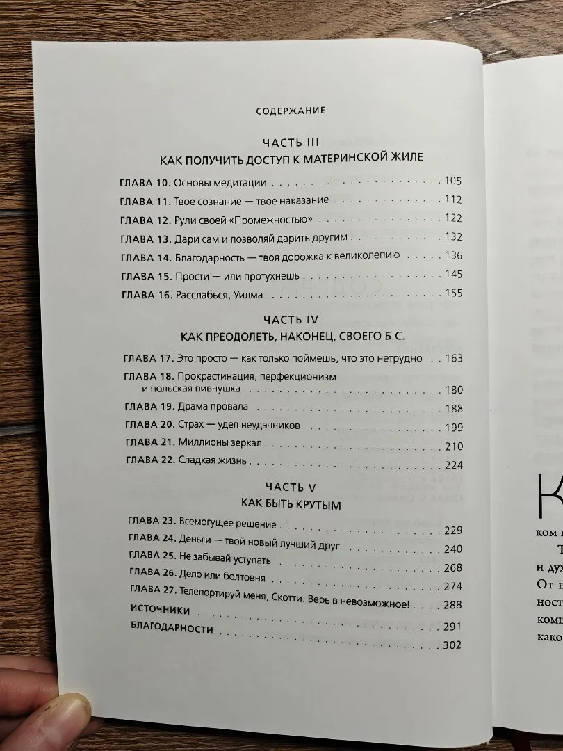 Книга по психологии Джен Синсеро "НИ СЫ" - миниатюра 5