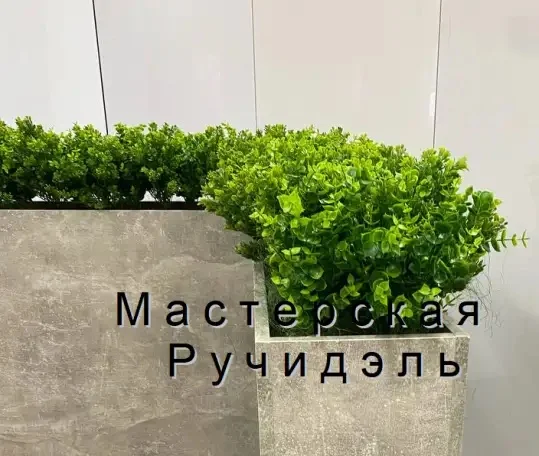 Кашпо-перегородка для офиса или кафе - миниатюра 5