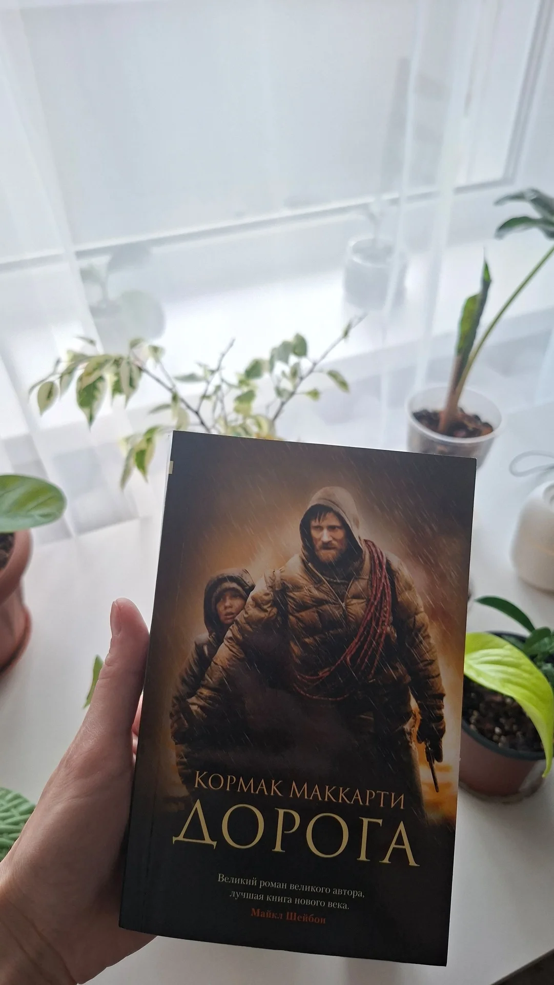 книги - миниатюра 2