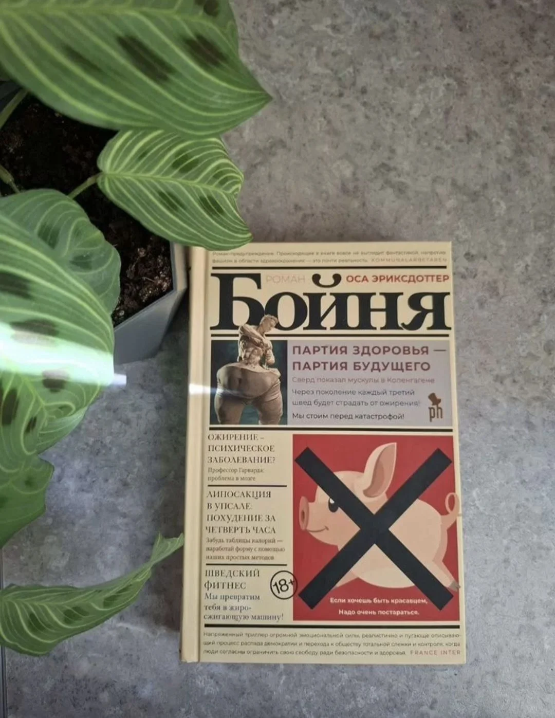 книги - миниатюра 8