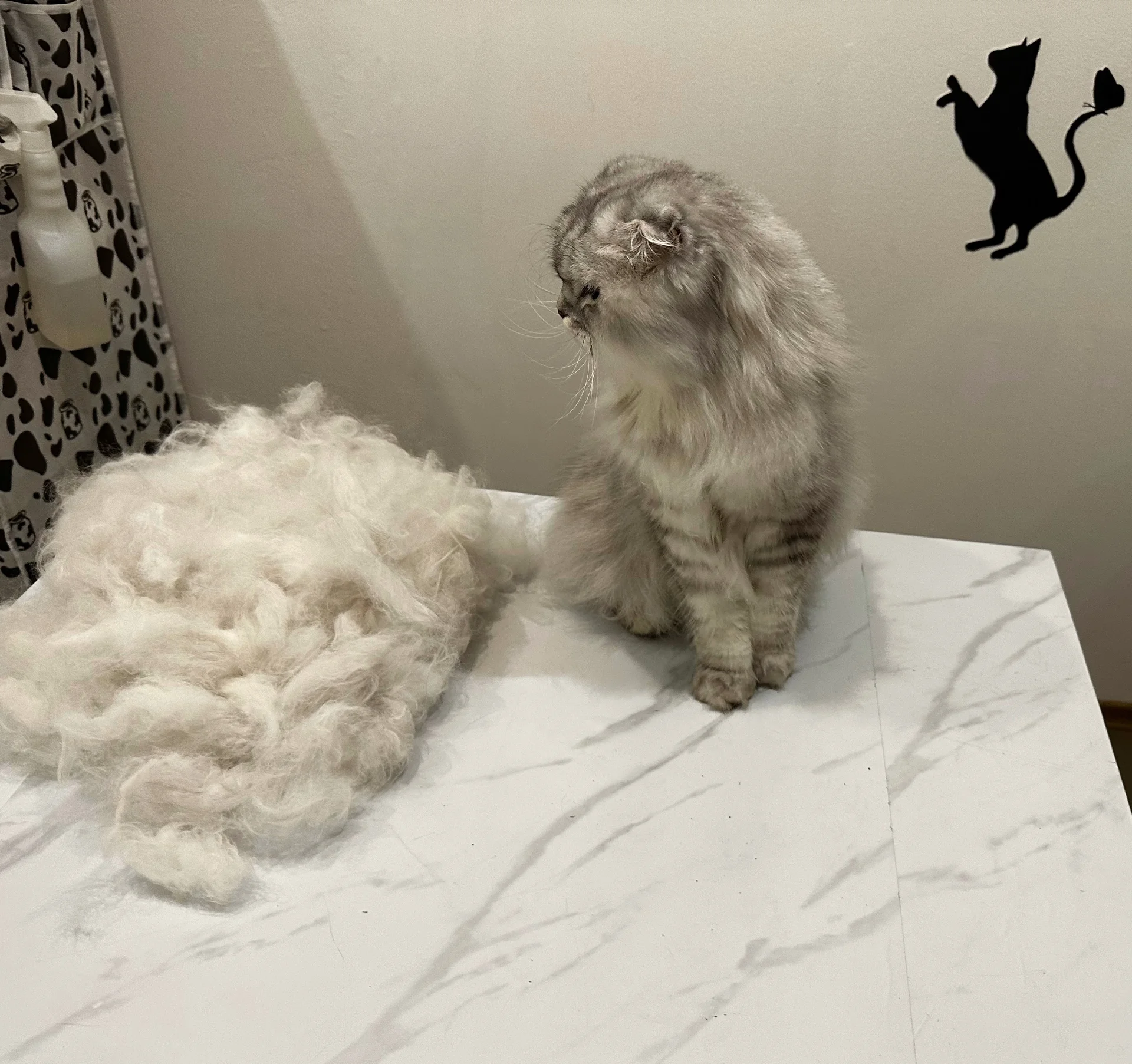 Груминг кошек
