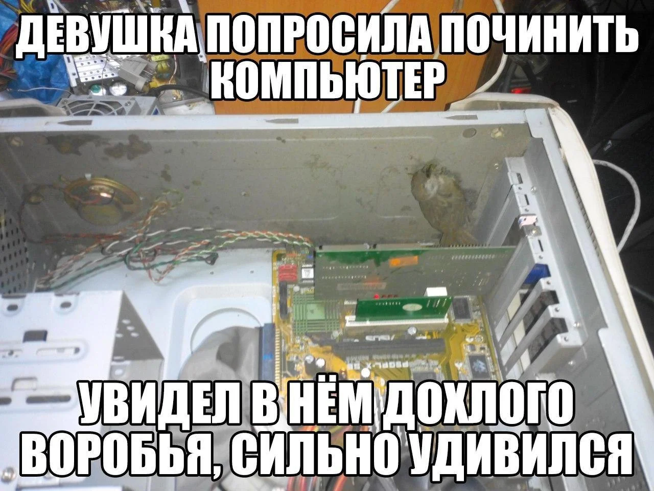 Компьютерная помощь. Ремонт ПК, ноутбуков, ОС - миниатюра 3