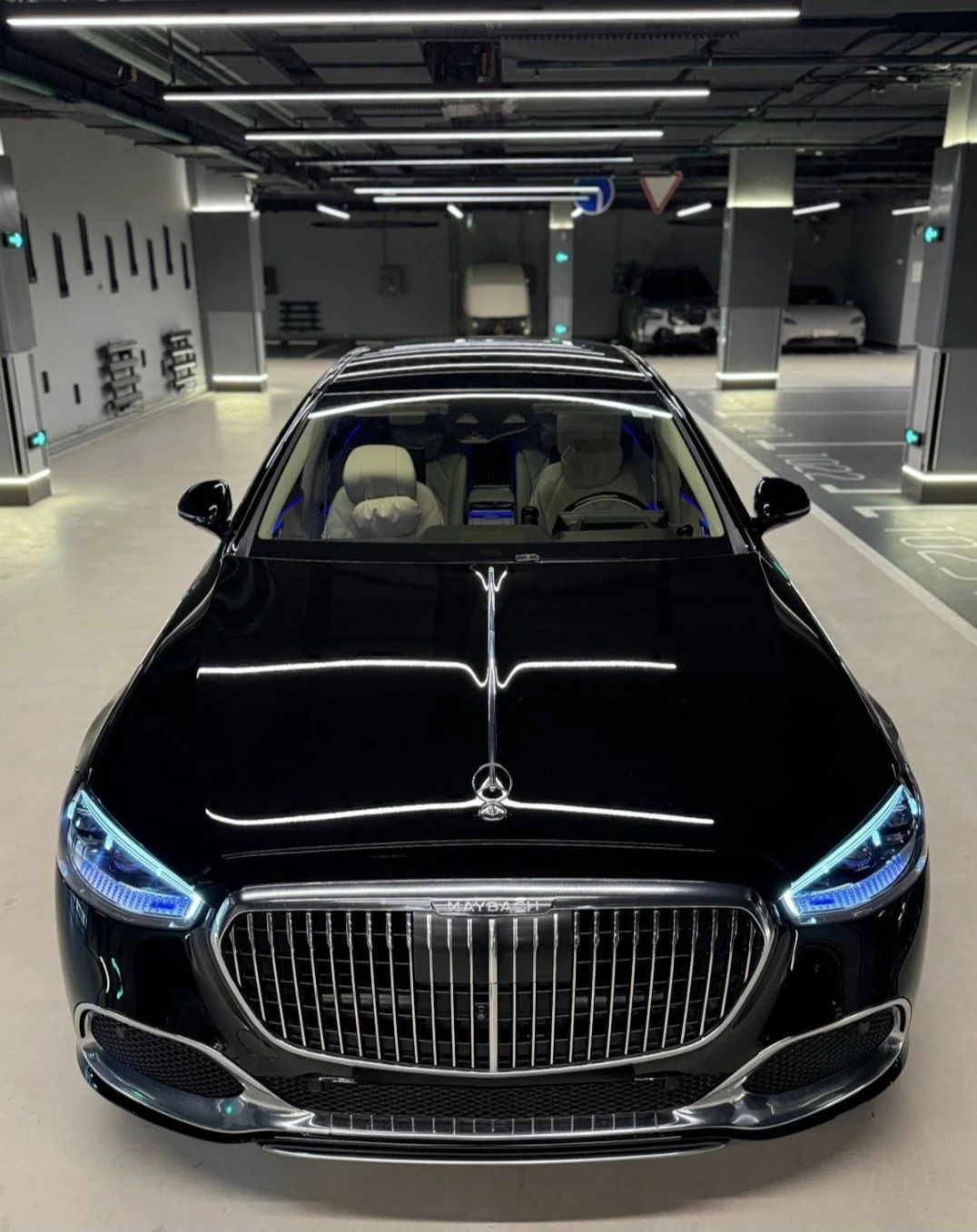 Майбах 223 с водителем (Maybach, S, V Class) - миниатюра 9
