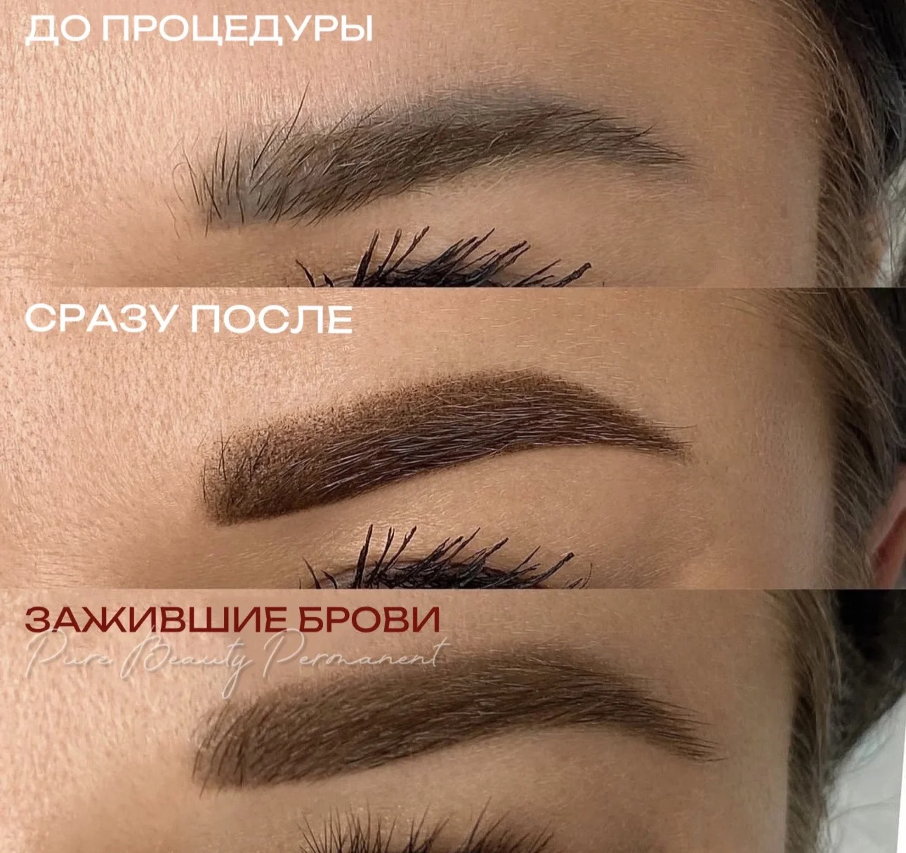 Перекрытие старого татуажа/Исправление ПМ - миниатюра 4