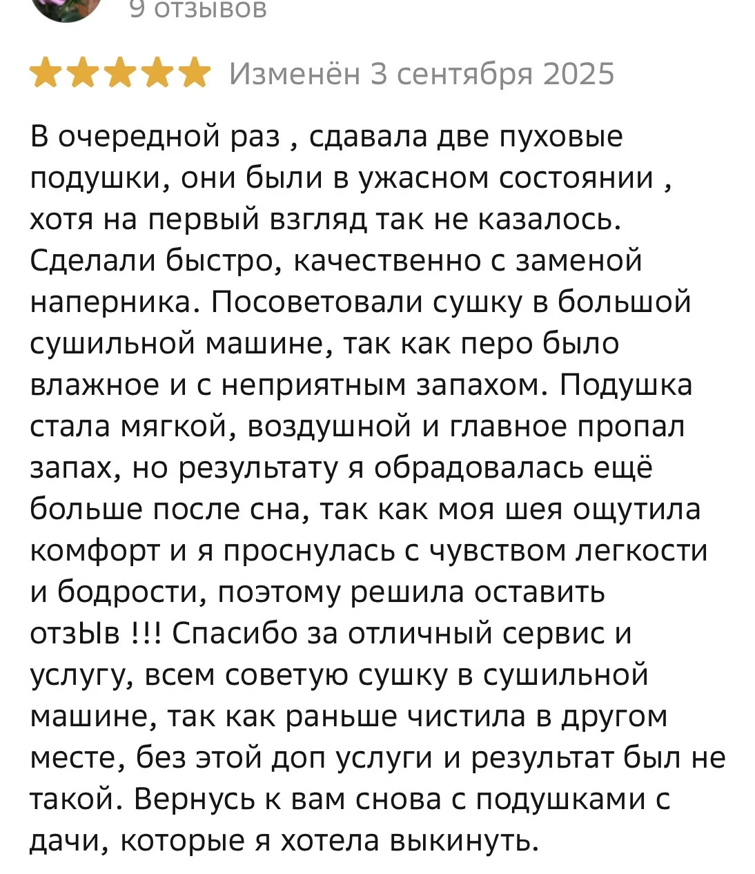 Чистка перьевых/пуховых подушек - миниатюра 6