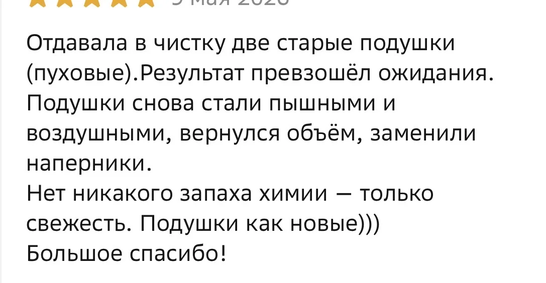 Чистка перьевых/пуховых подушек - миниатюра 7