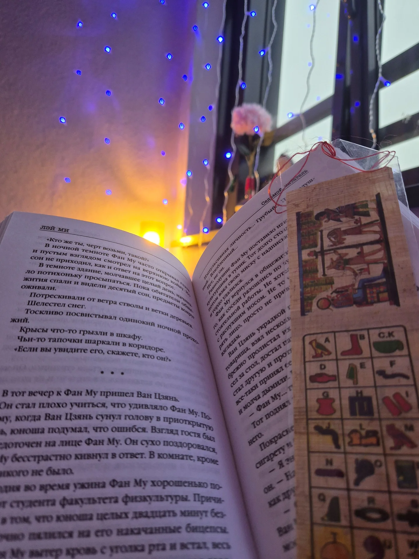 Книги Лэй Ми - изображение 1