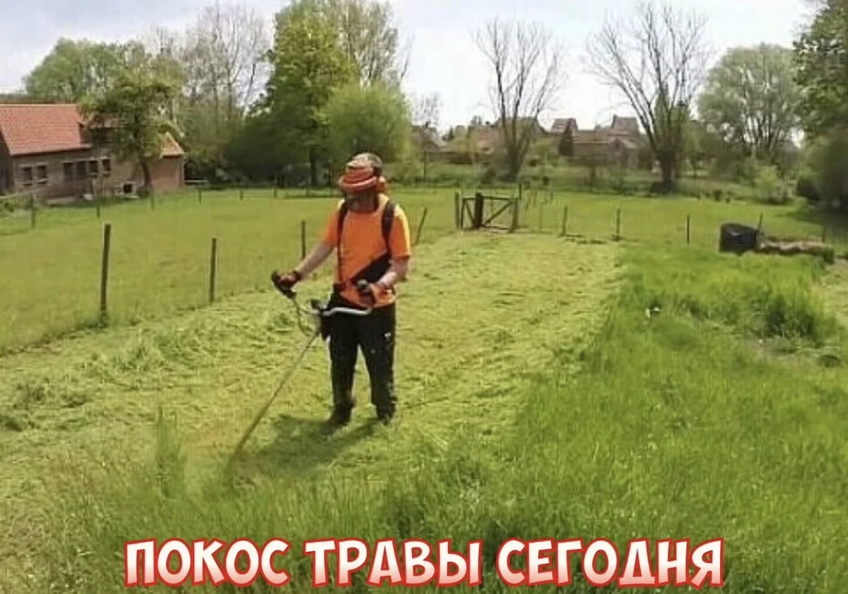 Покос Травы.Скосить траву.Покос участка - изображение 1