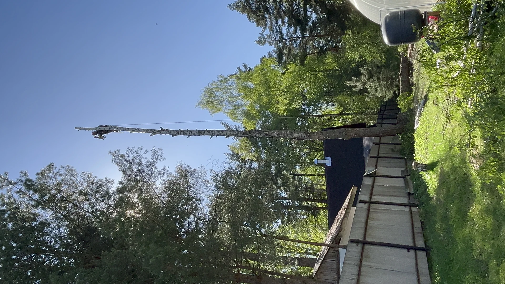 Удаление деревьев - миниатюра 10