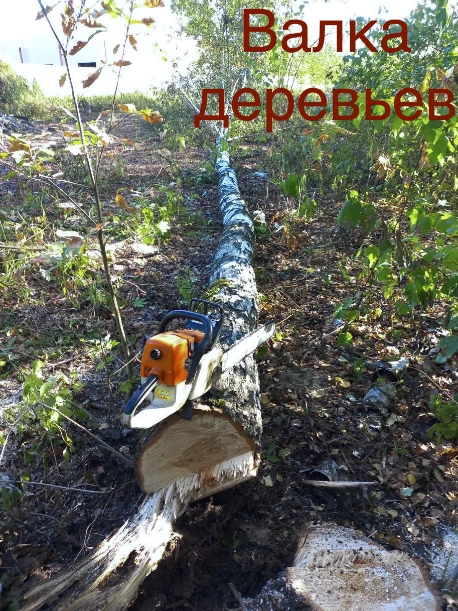 Удаление деревьев - миниатюра 11