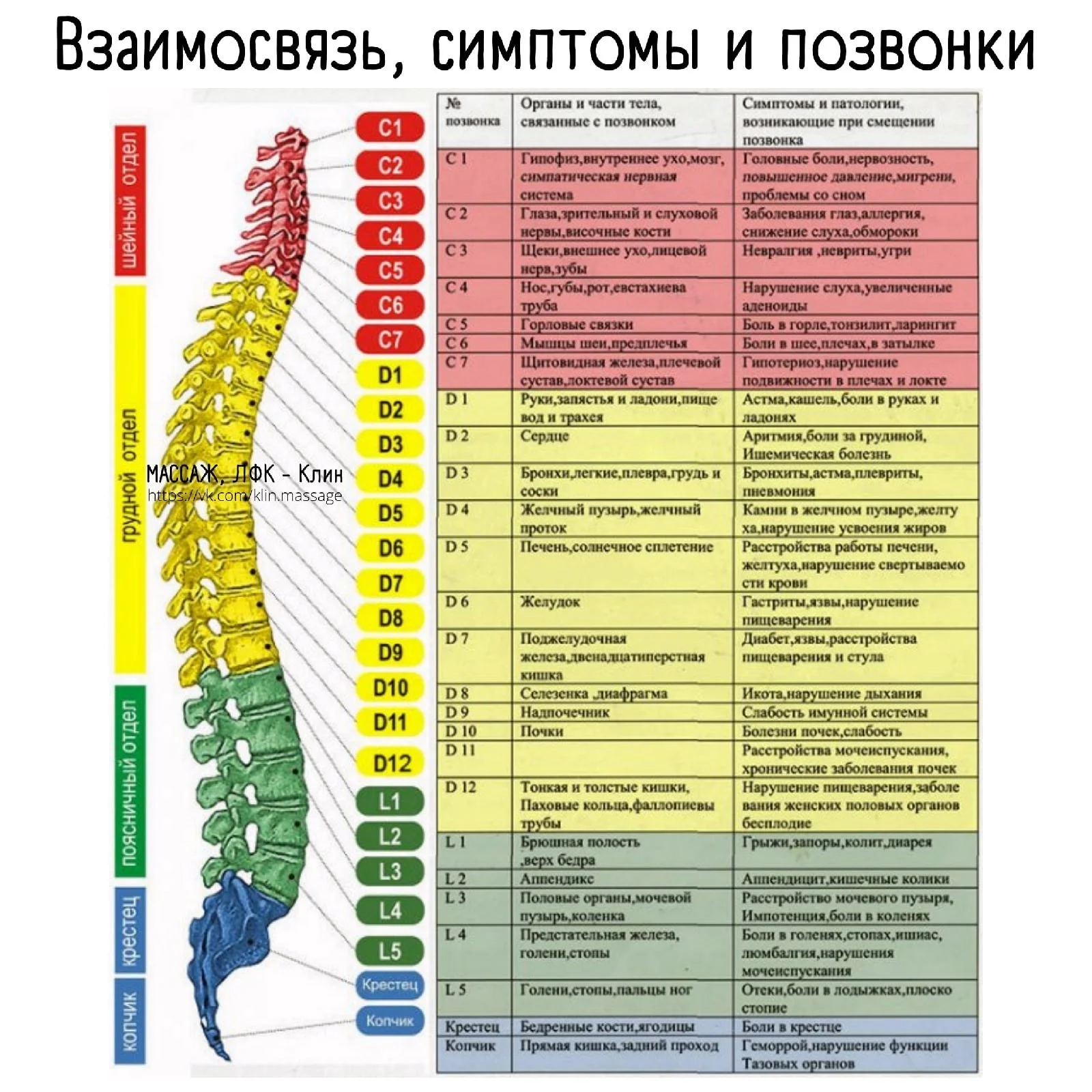 Массаж в Сочи. (Лазаревское) Фитобочка, релакс, антицел - миниатюра 5