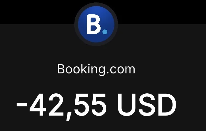 Оплата отелей Booking, Airbnb, Agoba, Trip, бронь - миниатюра 12